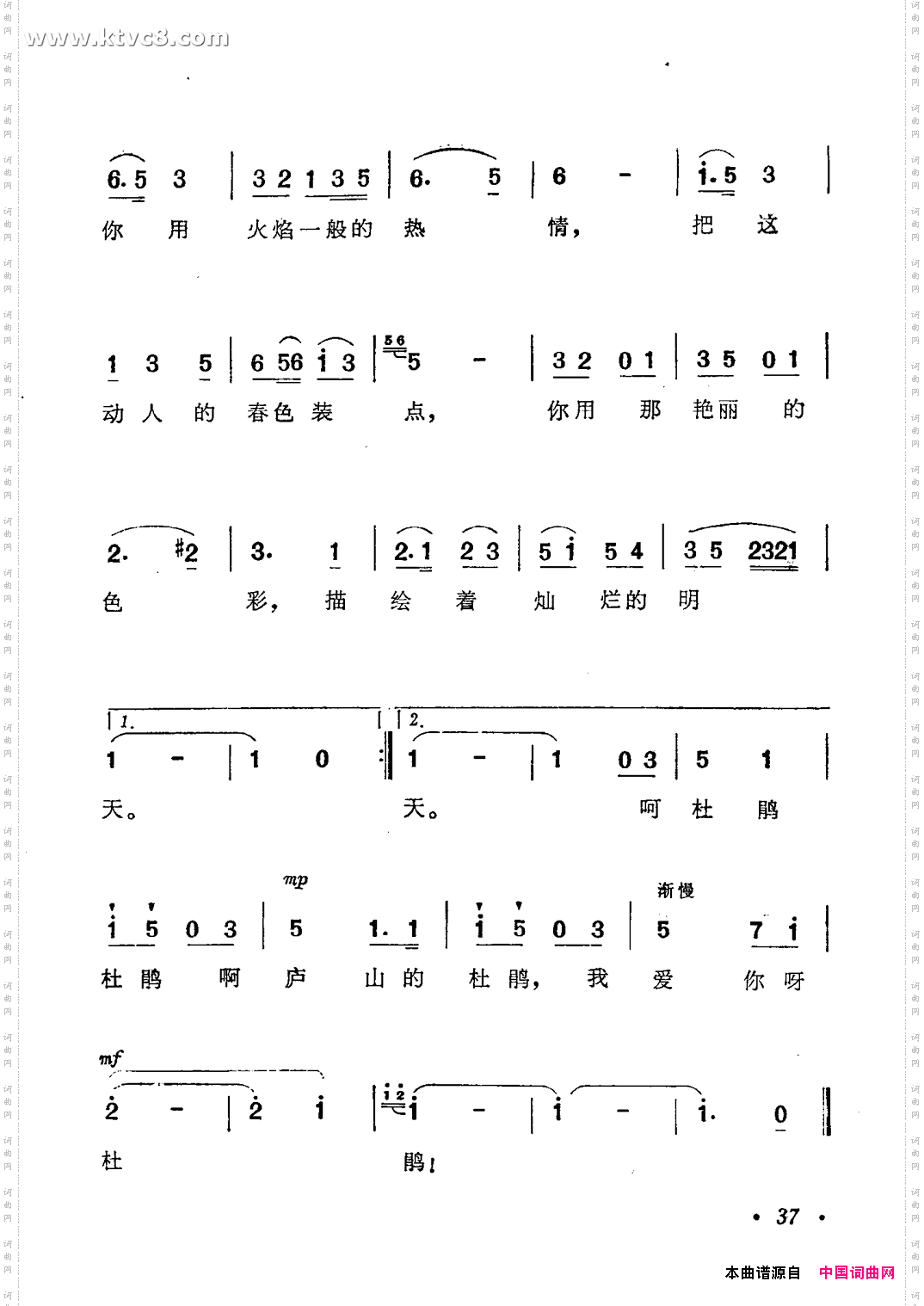 我爱你呀！杜鹃