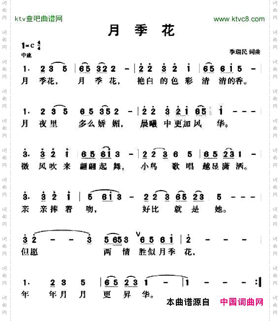 月季花