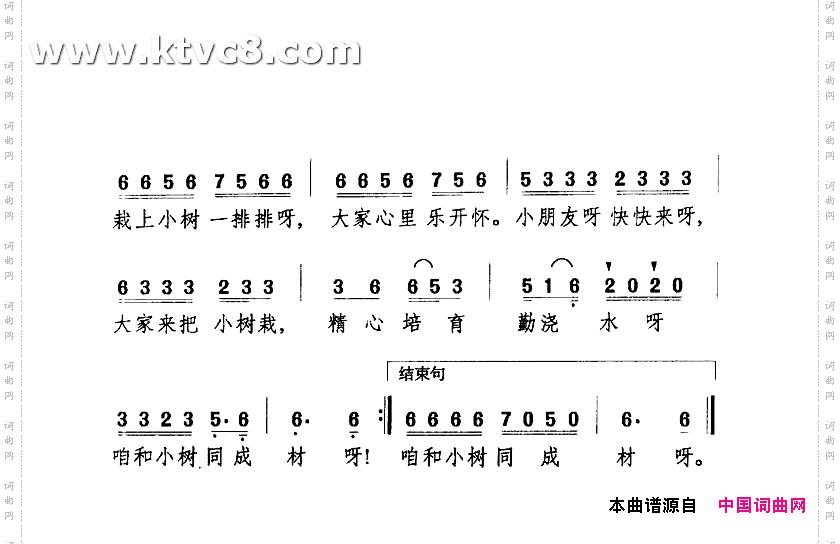 栽小树