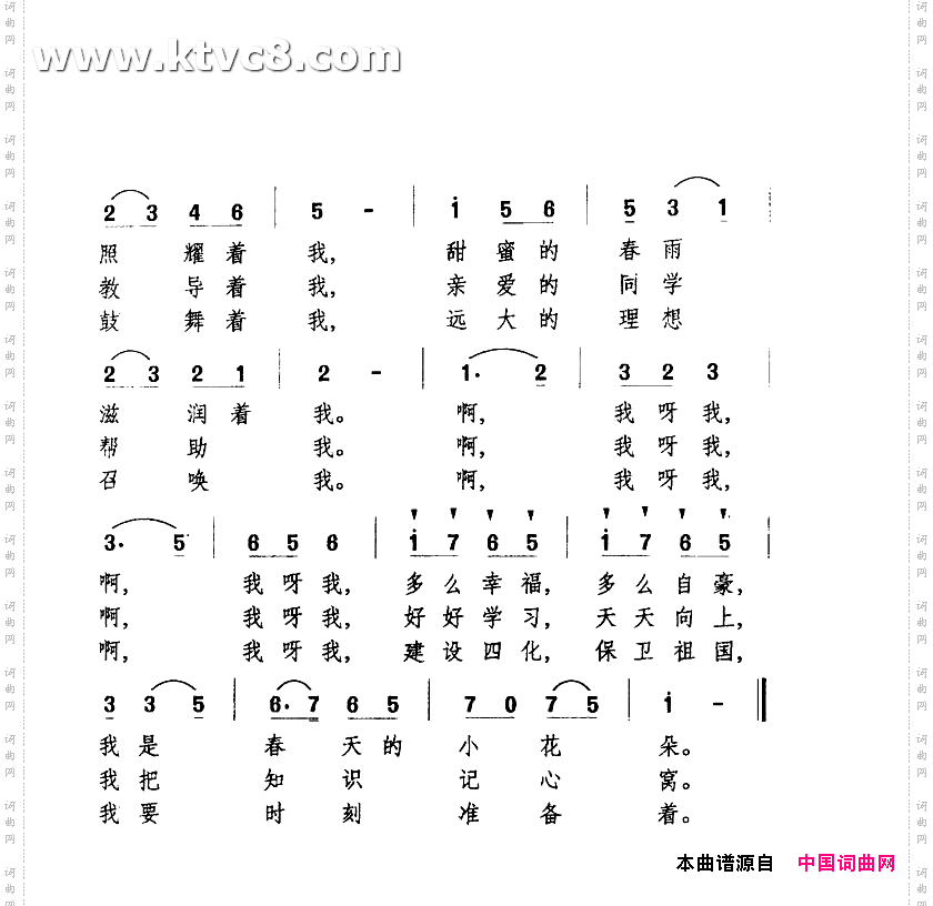 我是春天的小花朵