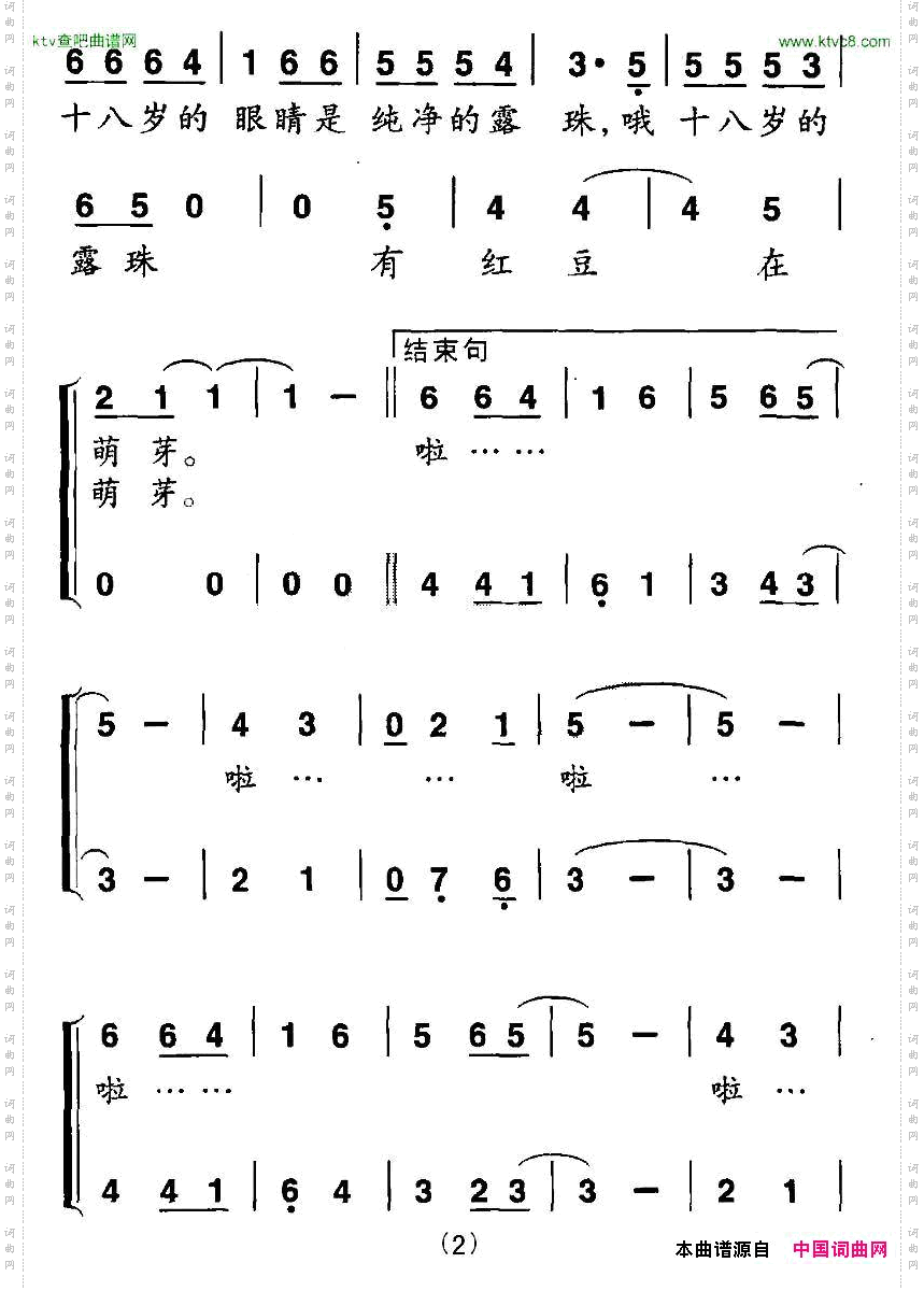 十八岁的眼睛