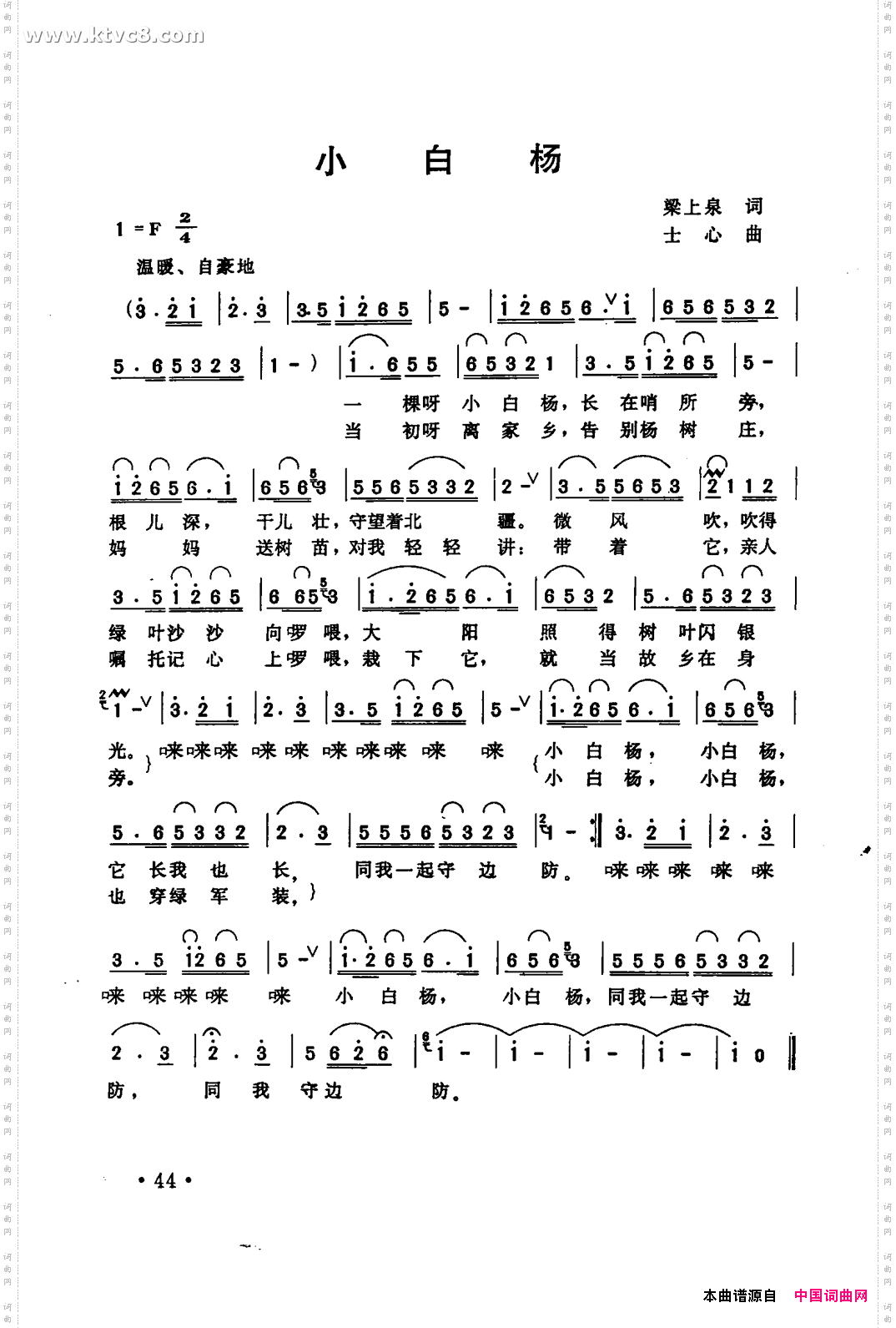 小白杨