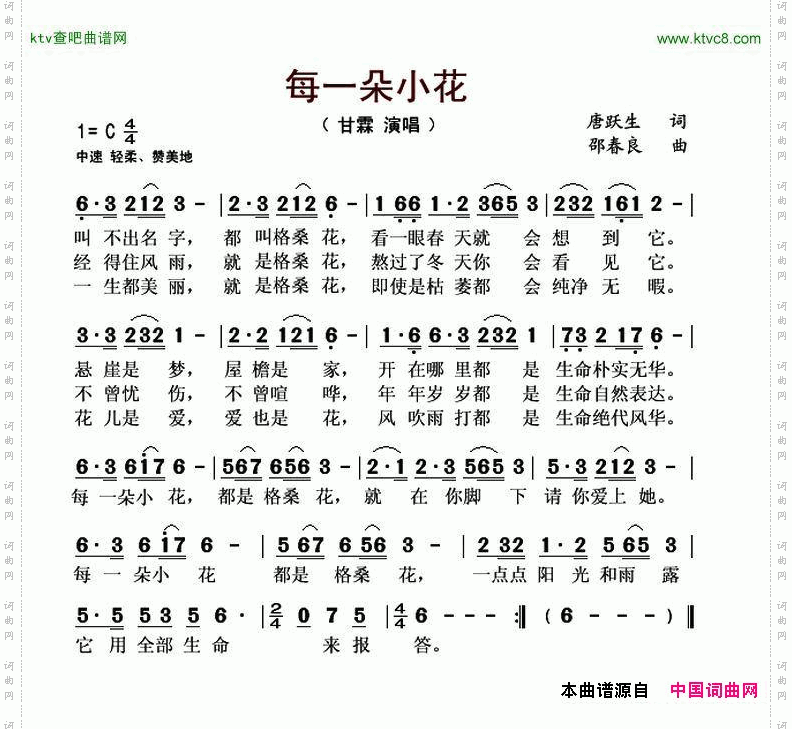 每一朵小花