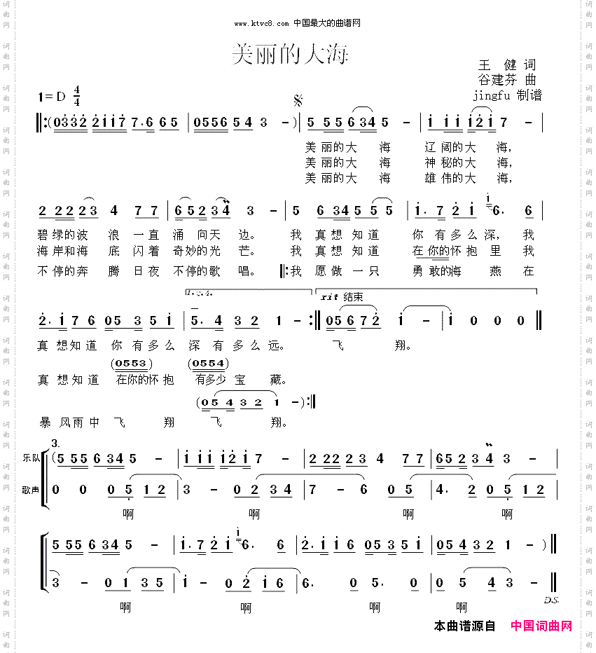 美丽的大海