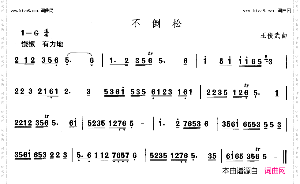 不倒松