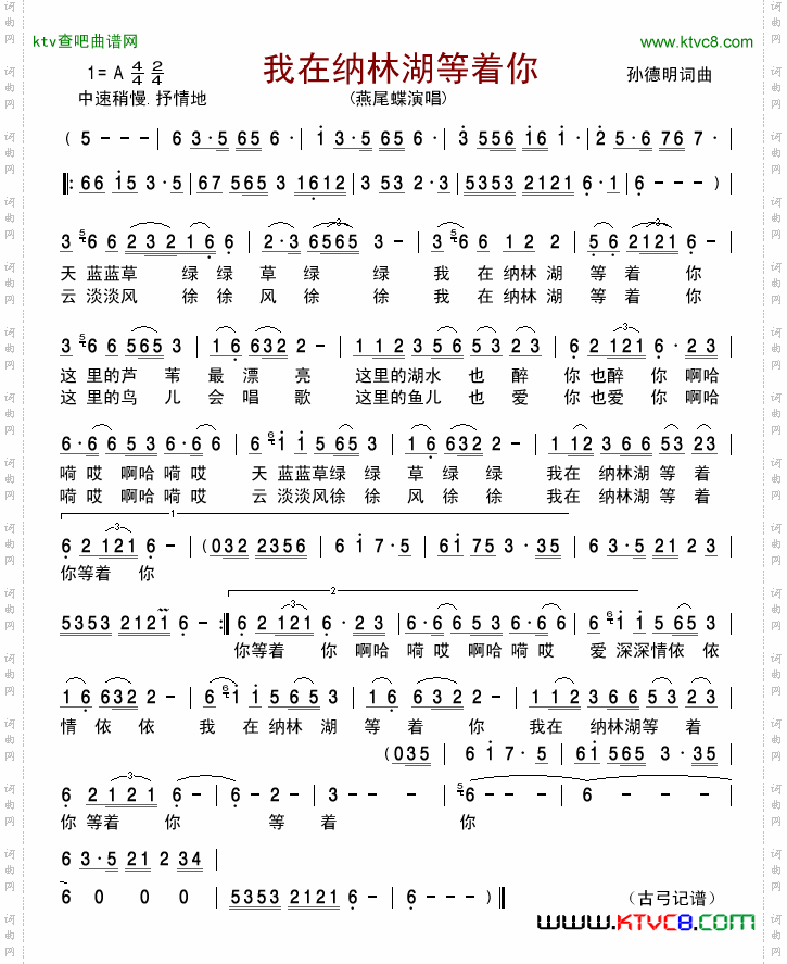 我在纳林湖等着你