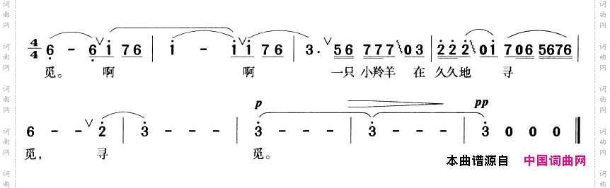 可可西里的故事