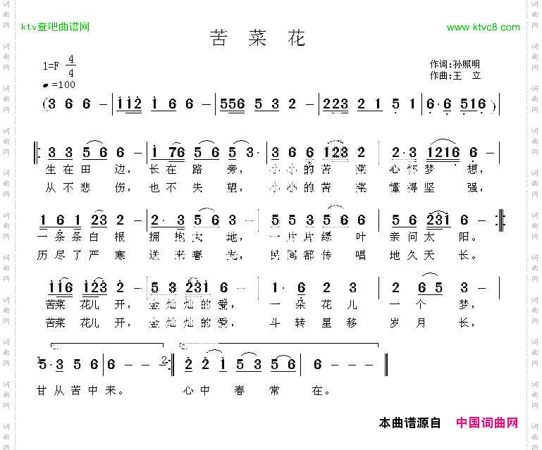 苦菜花