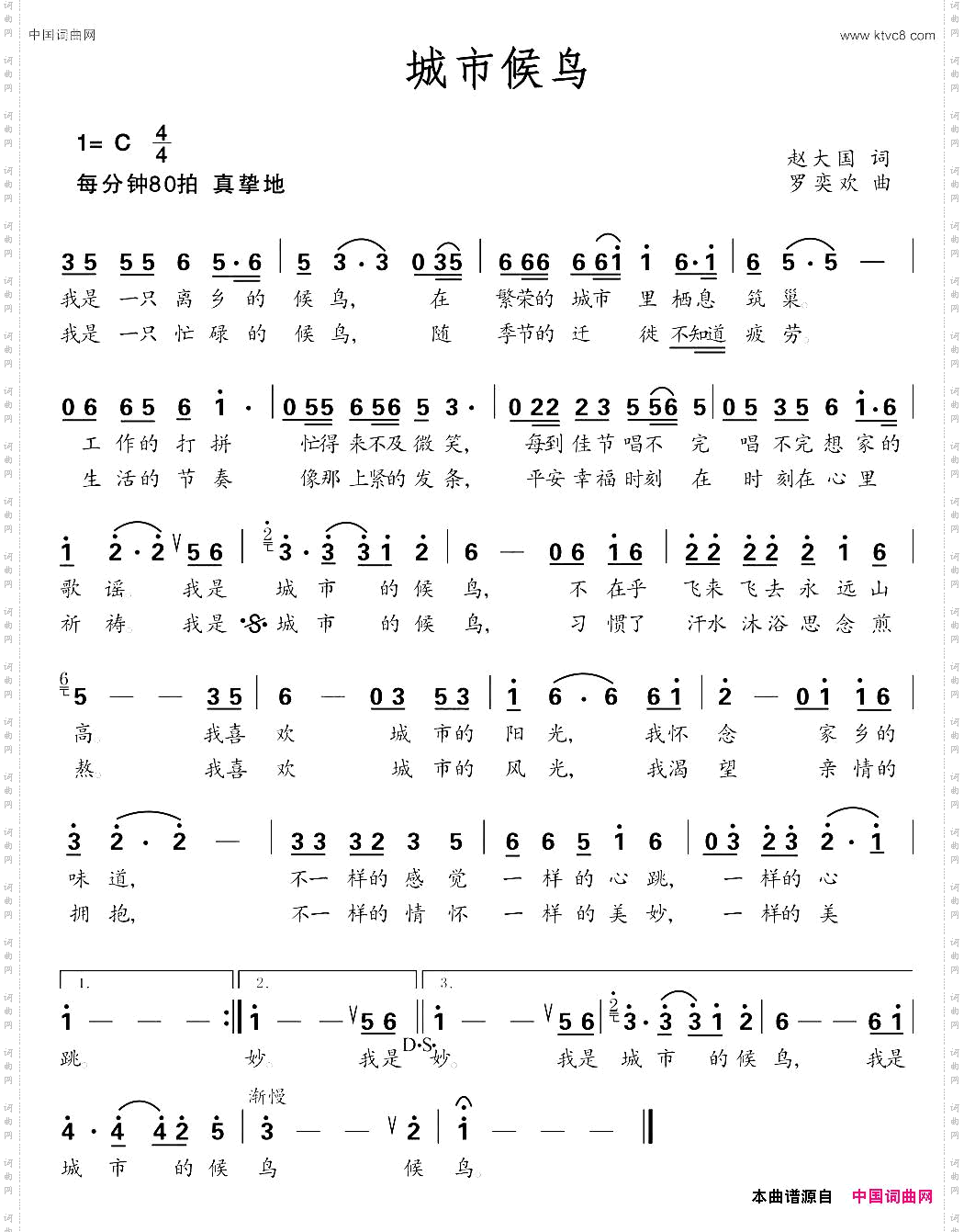 城市候鸟