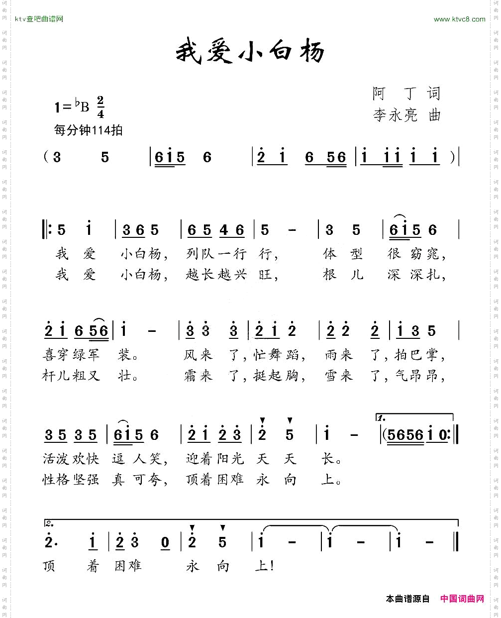 我爱小白杨