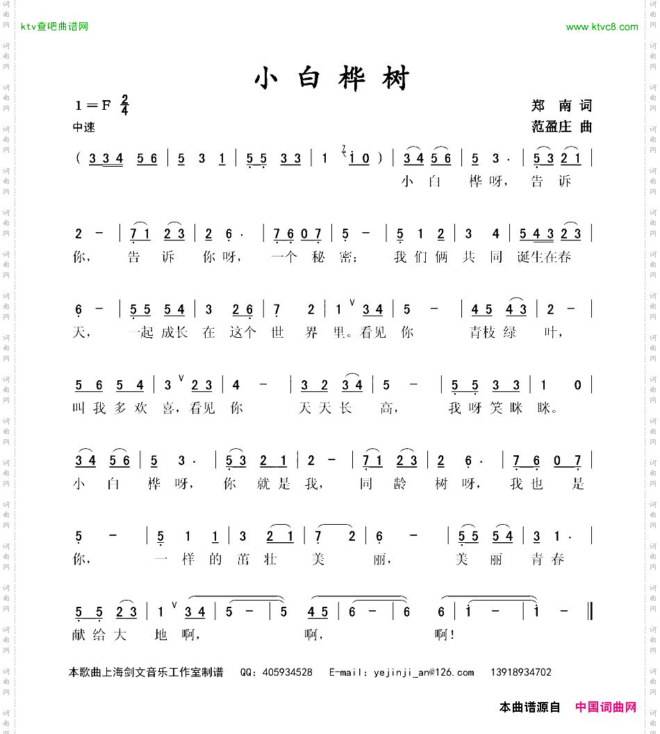 小白桦树