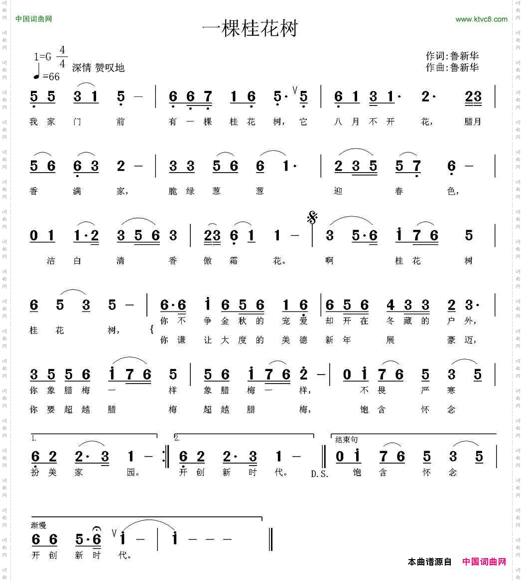 一棵桂花树