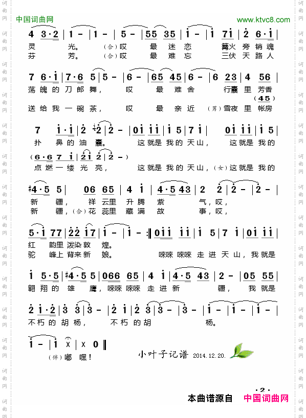 天山红