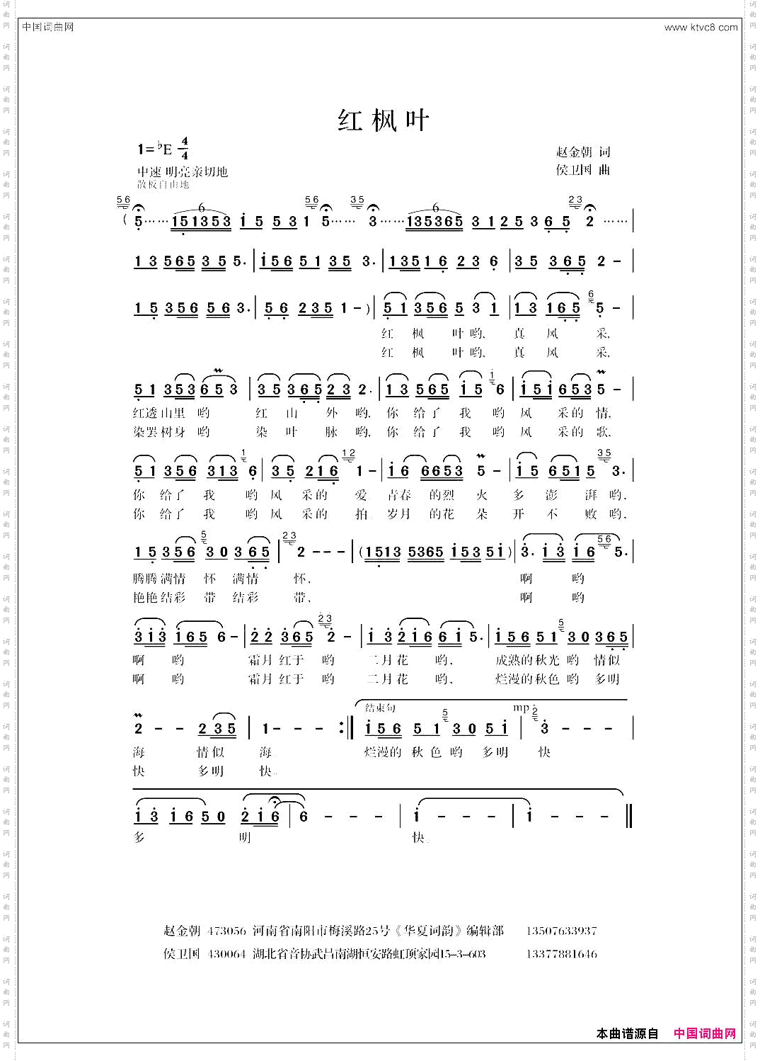 红枫叶赵金朝词侯卫国曲_红枫叶赵金朝词 侯卫国曲