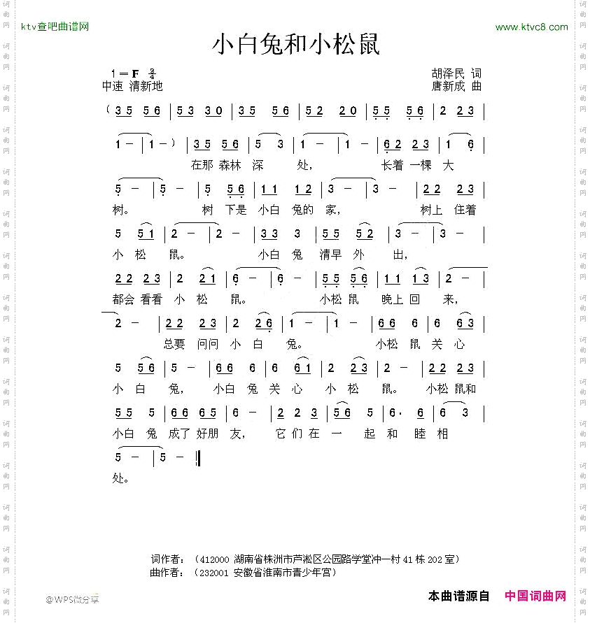 小白兔和小松鼠