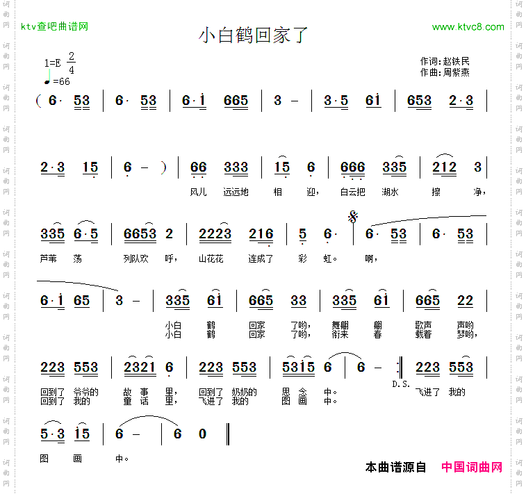 小白鹤回家了