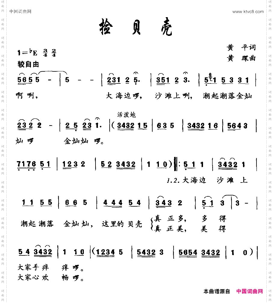 捡贝壳