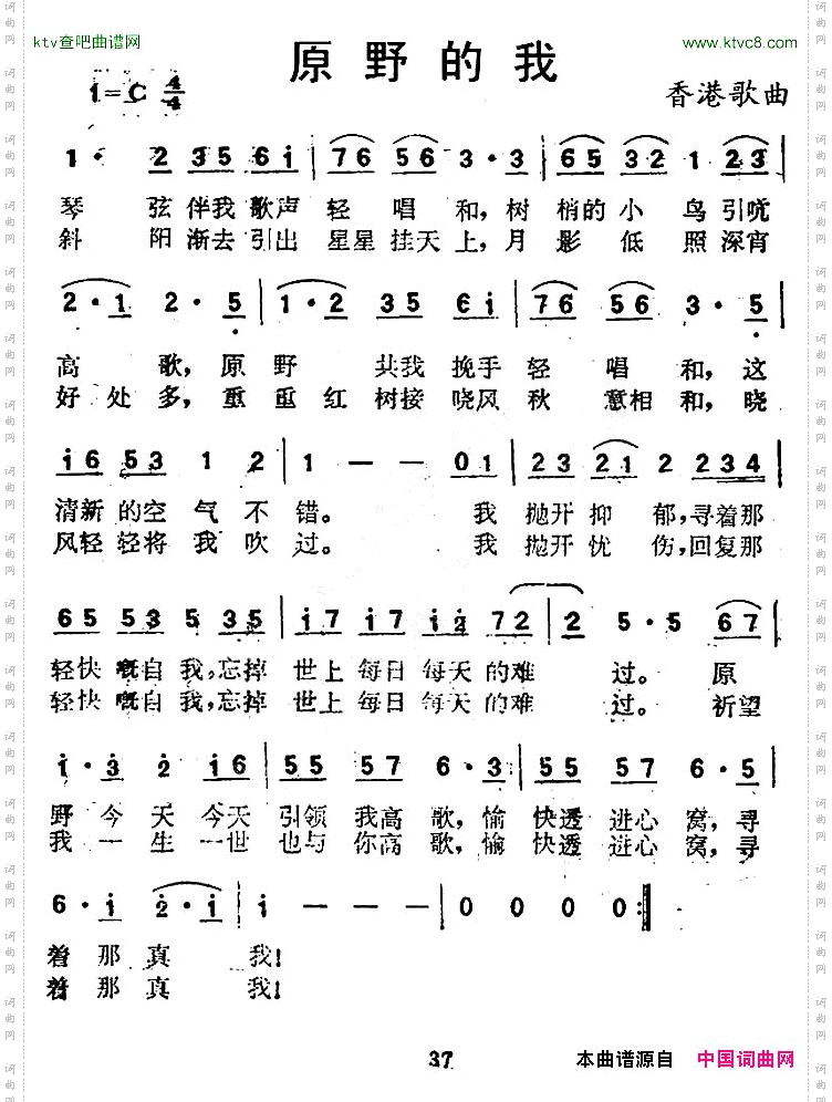 原野的我