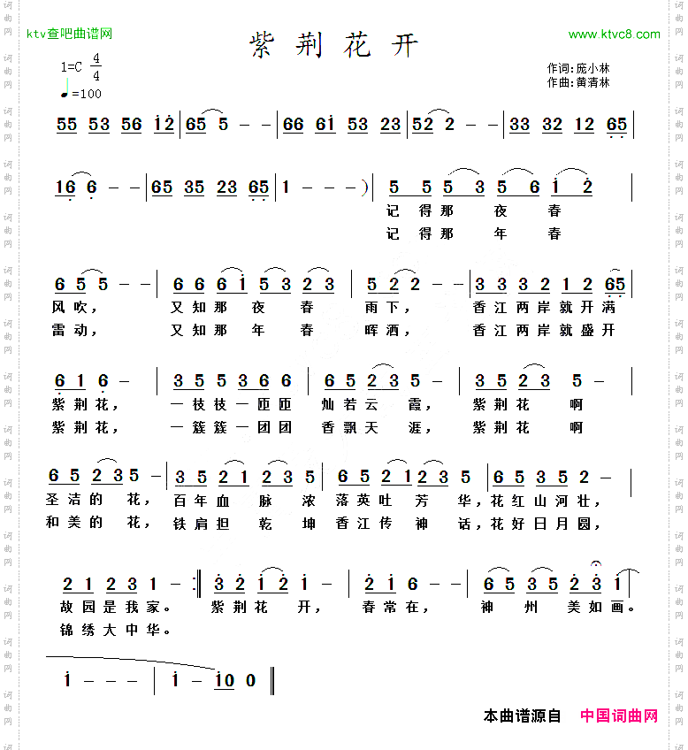 紫荆花开