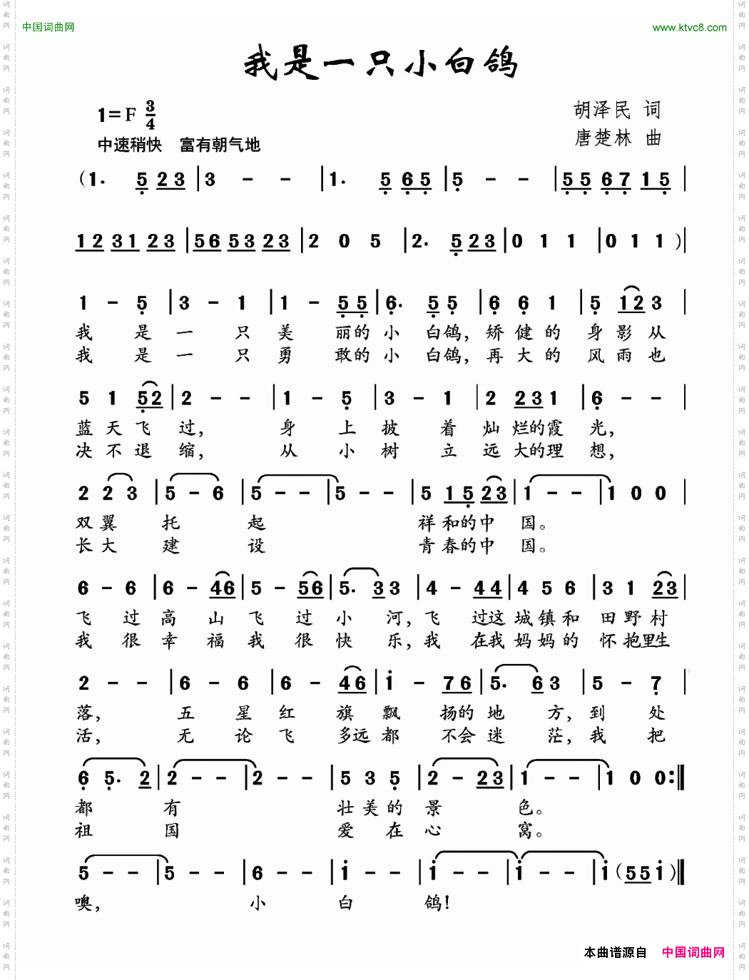 我是一只小白鸽