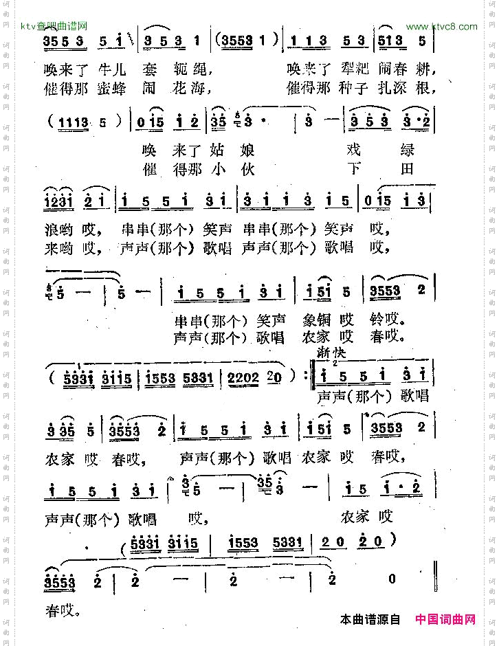 杨树开花叶儿青曾腾芳词毛祖贵曲