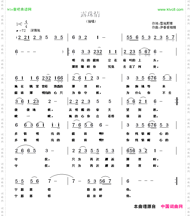 露珠情