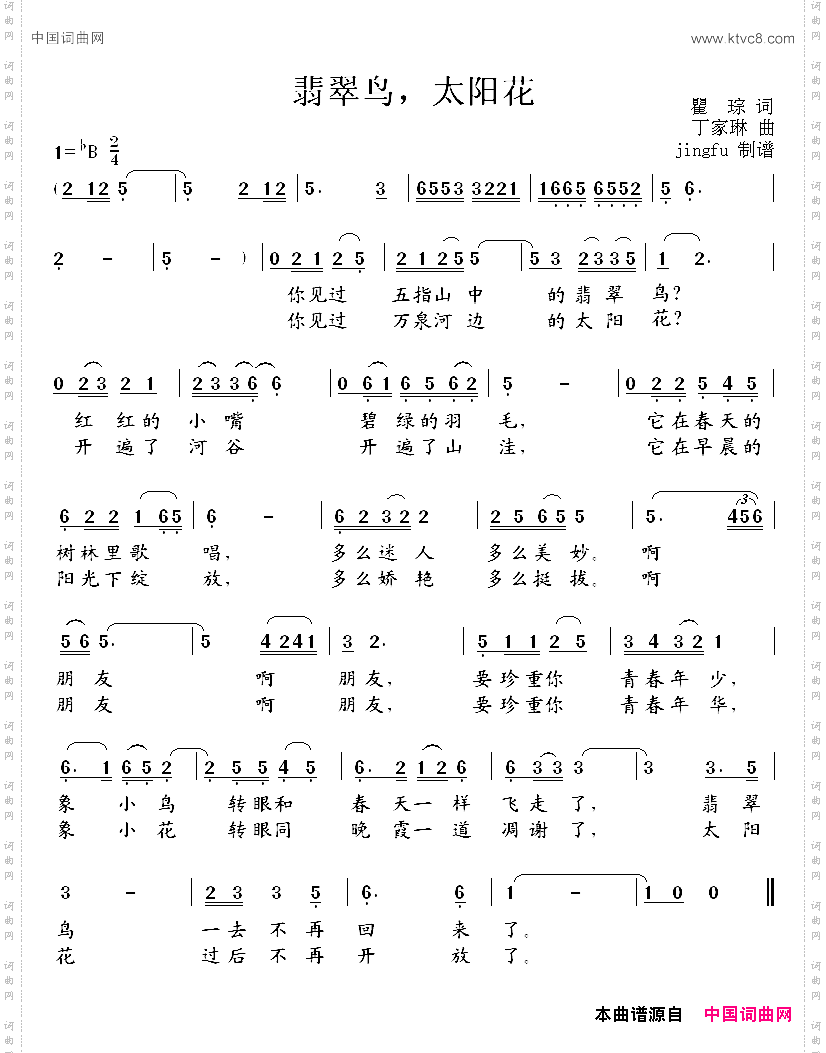 翡翠鸟，太阳花