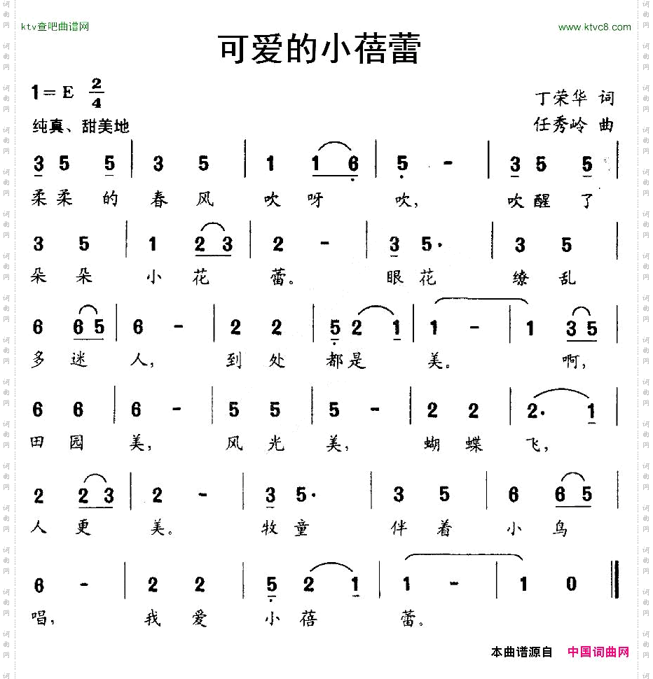 可爱的小蓓蕾