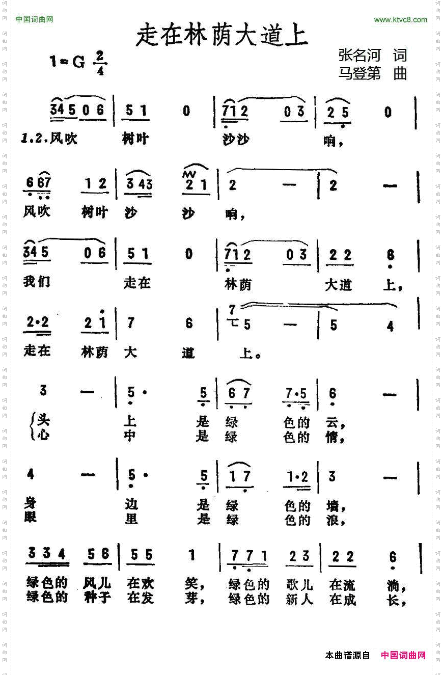 走在林荫大道上