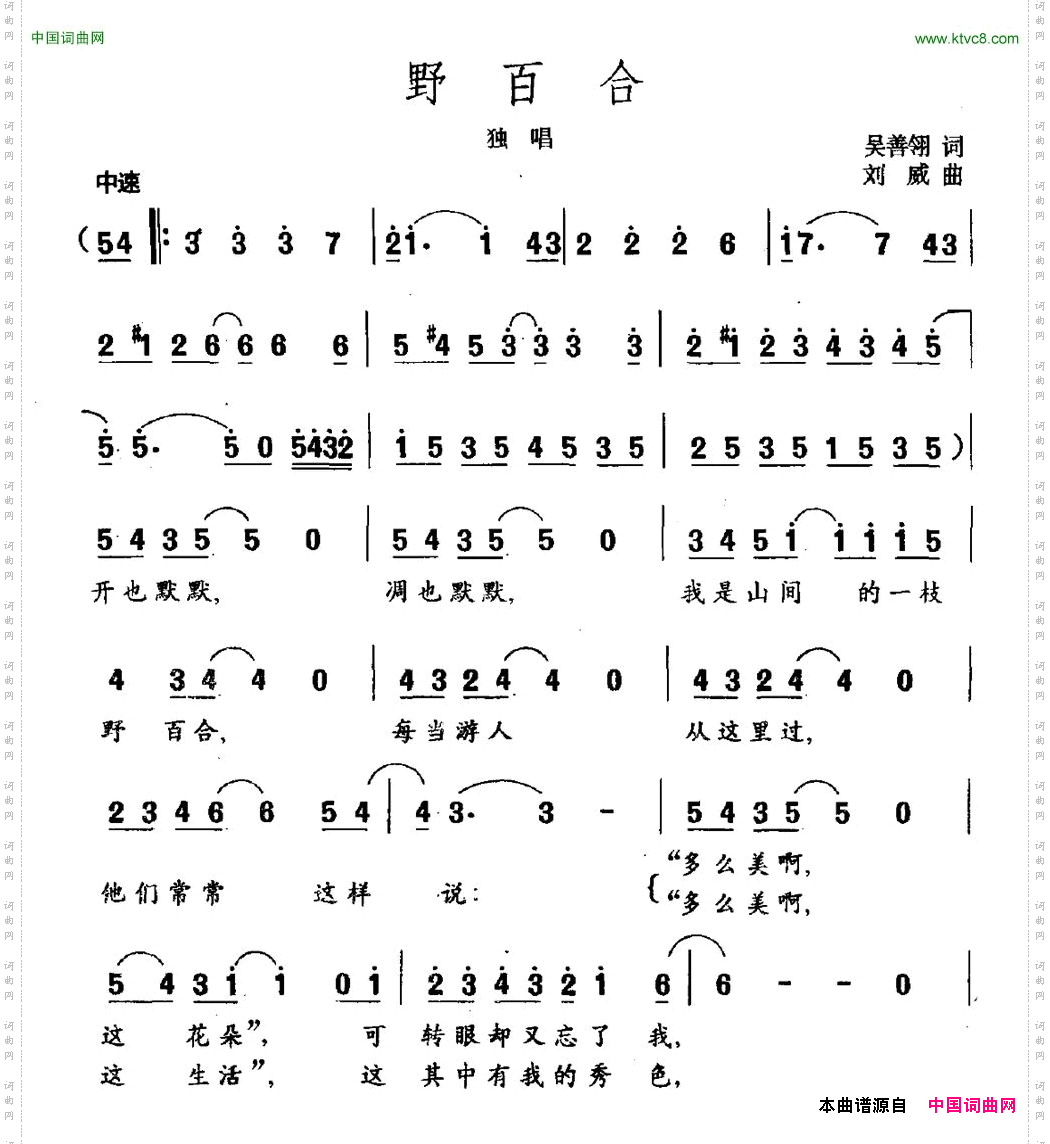 野百合