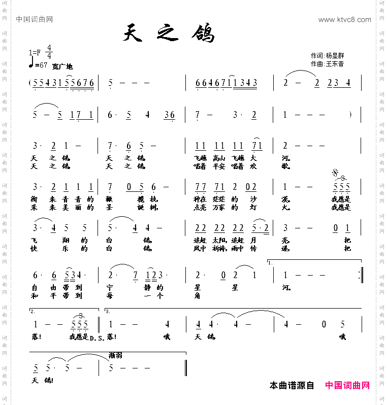 天之鸽