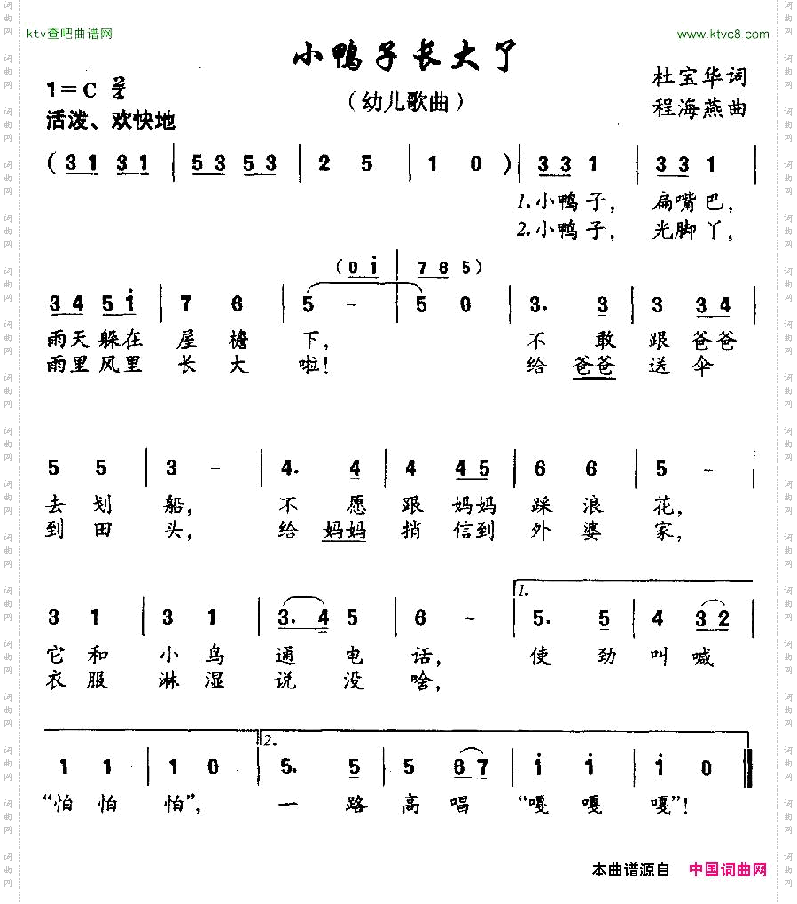 小鸭子长大了