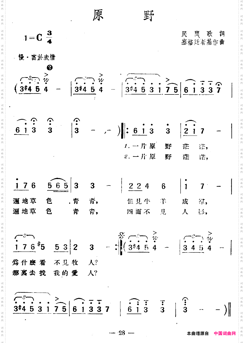 [波兰]原野