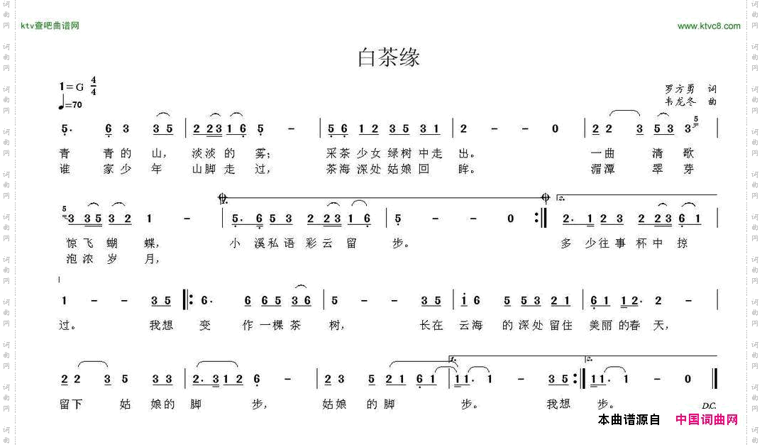 白茶缘