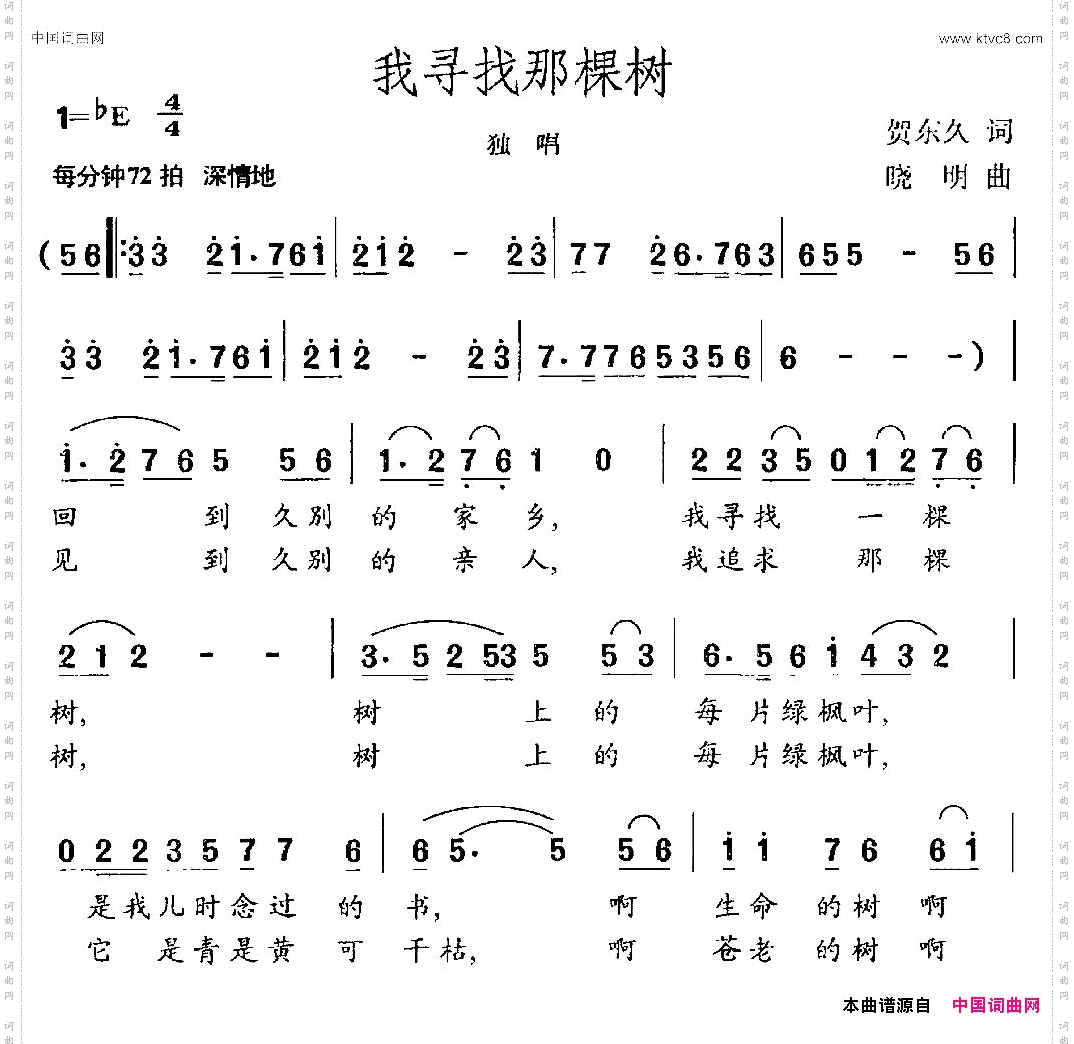 我寻找那棵树