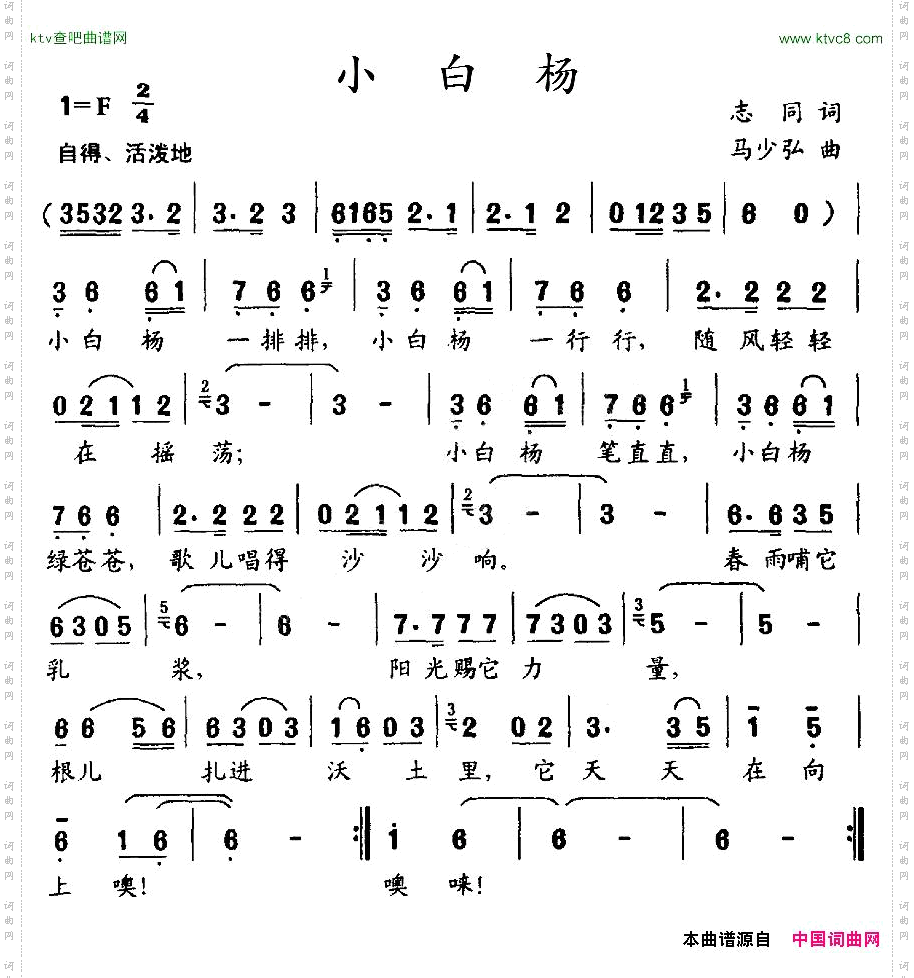 小白杨
