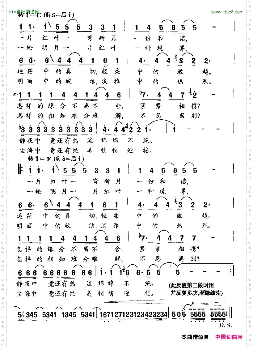 月光下的一片红叶