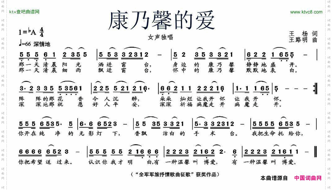 康乃馨的爱