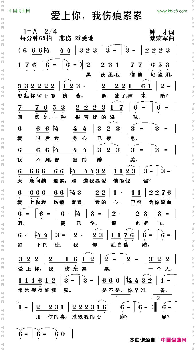 爱上你，我伤痕累累