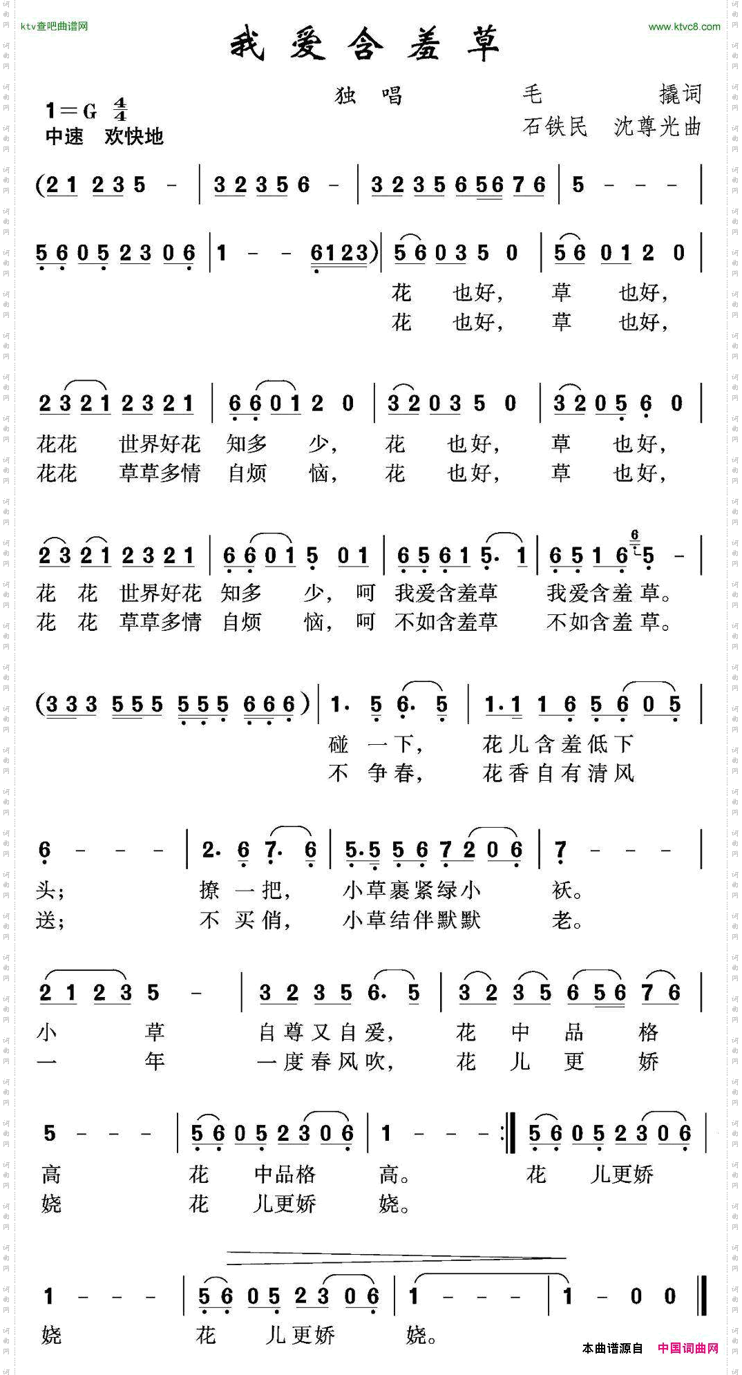 我爱含羞草