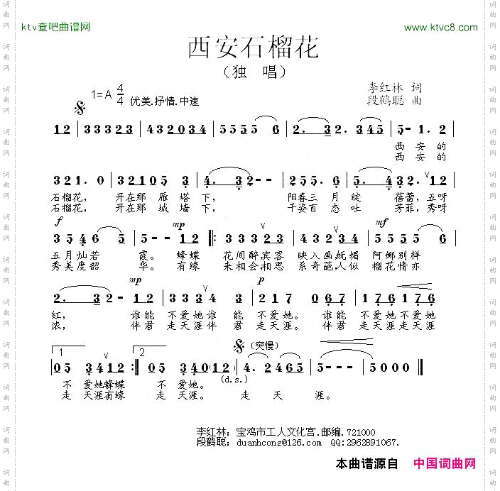 西安石榴花