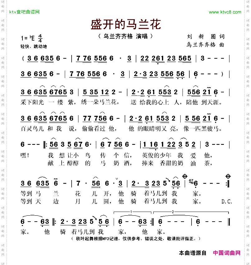 盛开的马兰花