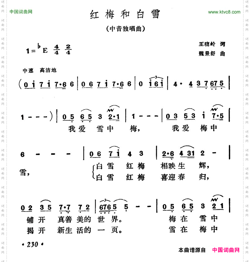 红梅和白雪