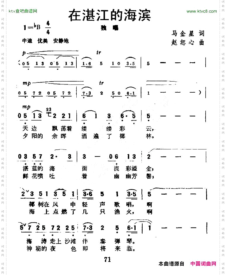 在湛江的海滨