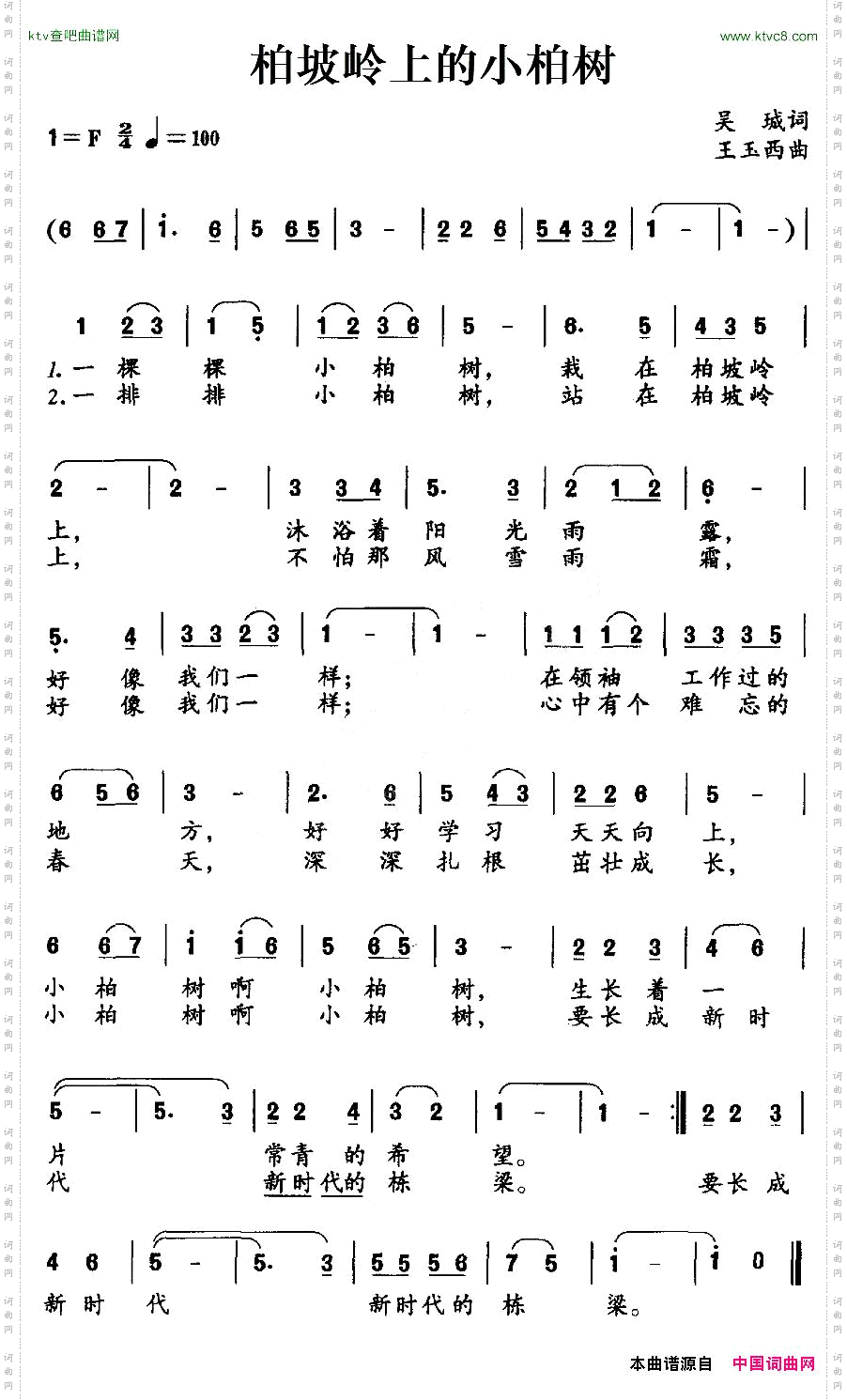 柏坡岭上的小柏树