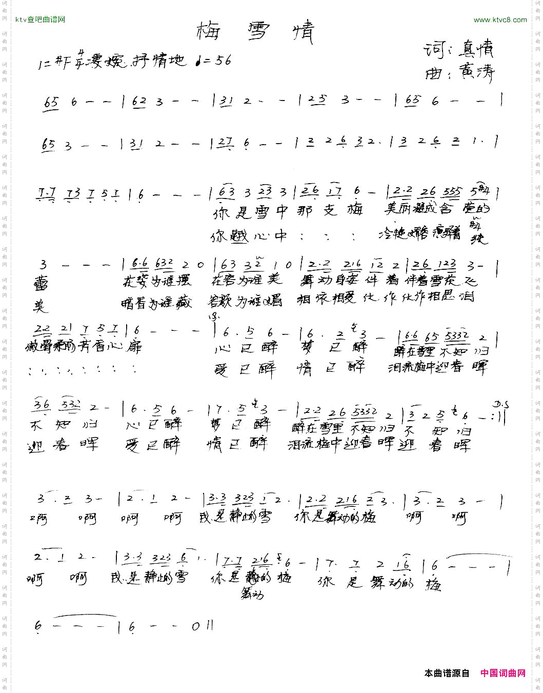 梅雪情梅雪情