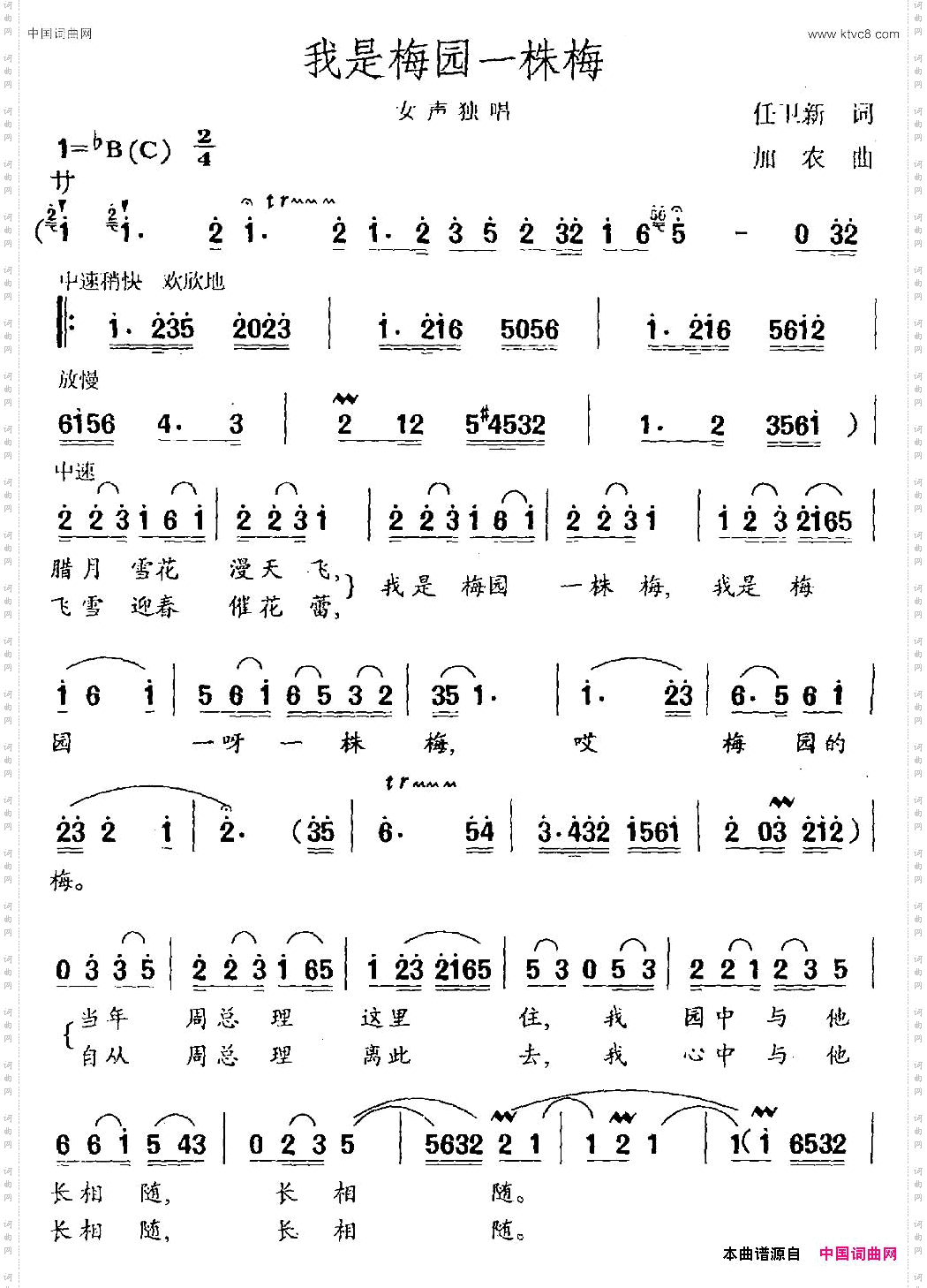 我是梅园一株梅