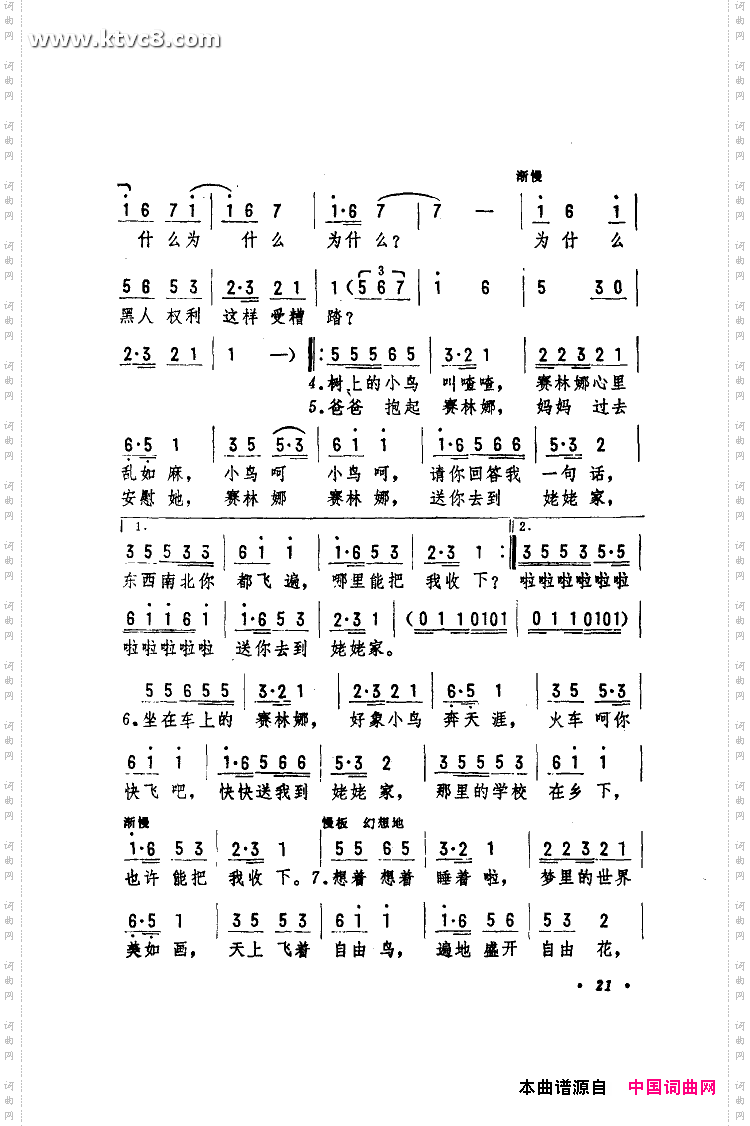 黑孩子赛林娜