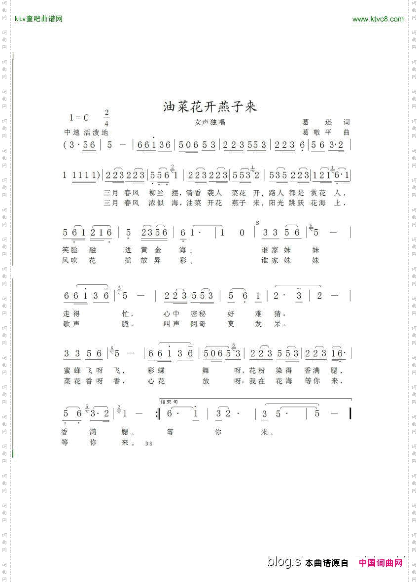 油菜花开燕子来