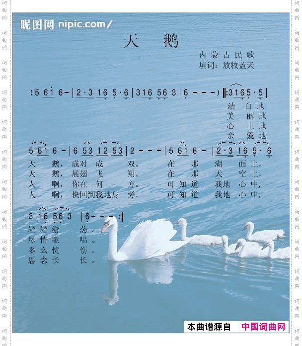 天鹅